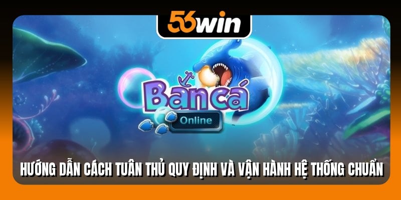 Hướng dẫn cách tuân thủ quy định và vận hành hệ thống chuẩn